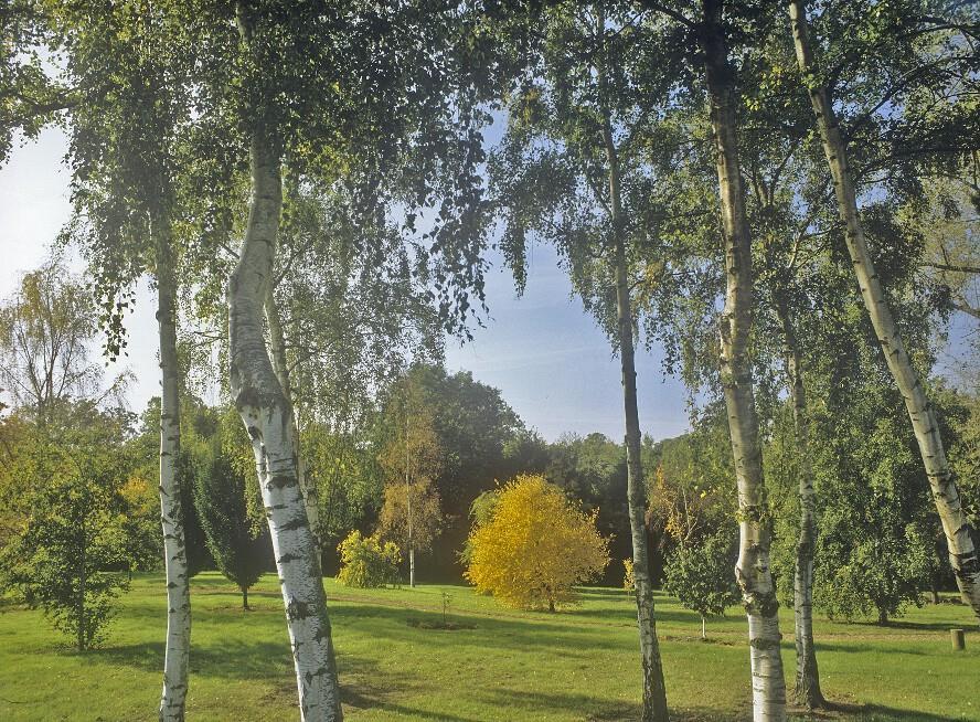 West Lodge Park Barnet Zewnętrze zdjęcie